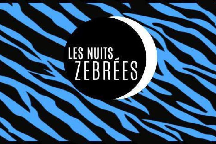 Les Nuits Zébrées de Radio Nova à La Bellevilloise