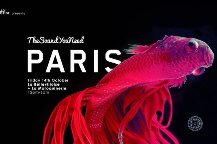 TheSoundYouNeed Festival Paris 2016 à La Bellevilloise et La Maroquinerie