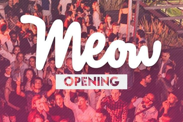 MEOW Opening au Café Oz Rooftop