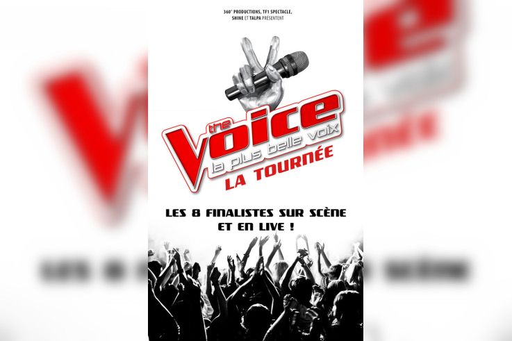 The Voice, la tournée 2017, au Palais des Sports de Paris