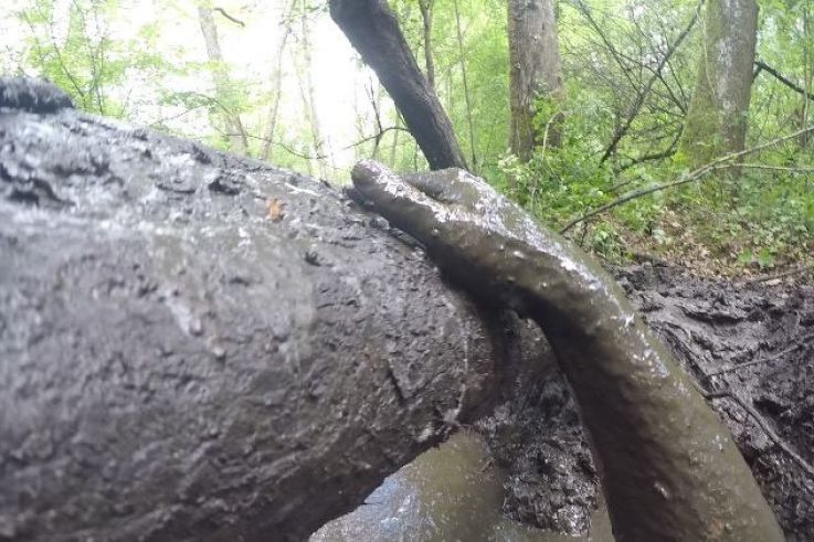 Buthiers Running Finisher 2018