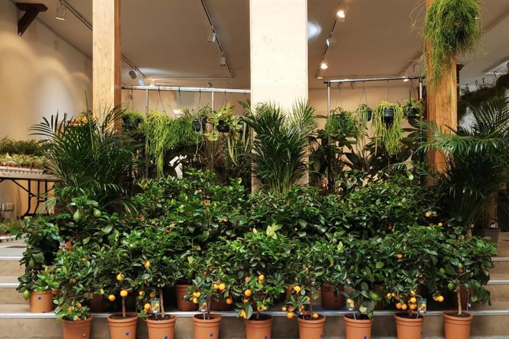 Nouvelle grande Vente de Plantes dès 2€ à l'Espace Canal Saint Martin