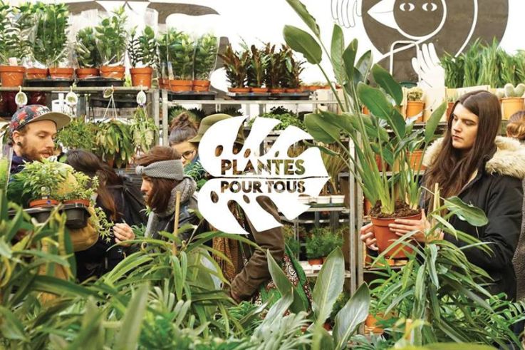 Plantes pour Tous : nouvelle grande vente de plantes dès 2 € au Deskopolitan à Paris