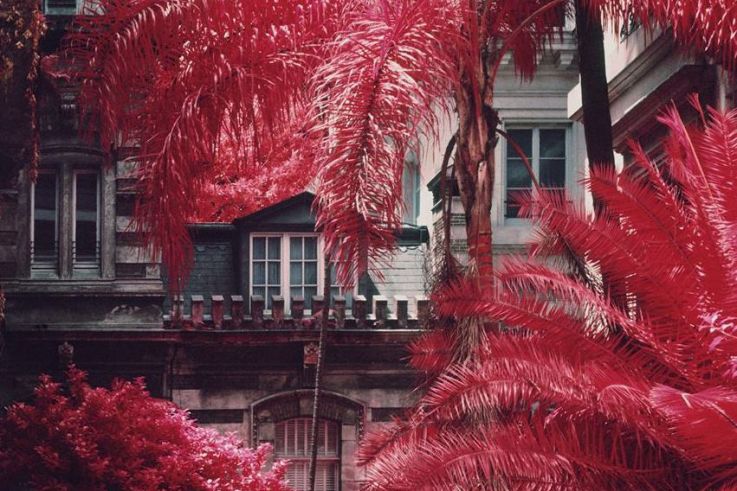 Foals en concert au Bataclan de Paris en mai 2019