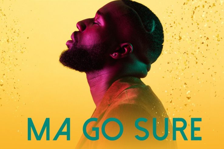 Vegedream en concert au Zénith de Paris en juin 2019