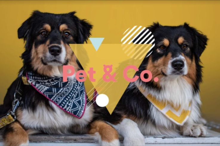 Pet & Co. de retour à Ground Control