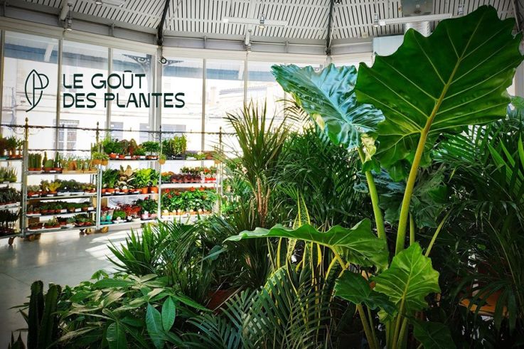 Le Goût des Plantes : nouvelle grande vente de plantes à L'Espace Canal Saint Martin