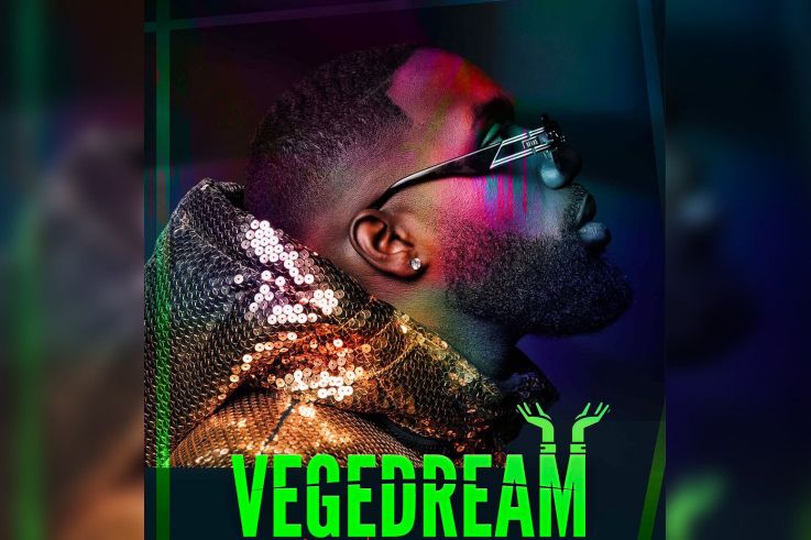 Vegedream en concert à l'Accor Arena de Paris en juin 2021
