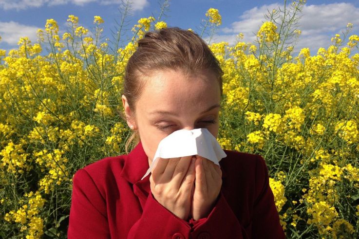 Allergies au pollen : un risque très élevé dans certains départements en ce mois de juin