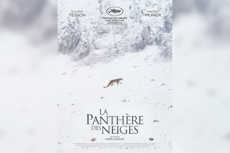 La Panthère des neiges : le docu de Marie Amiguet avec Vincent Munier et Sylvain Tesson