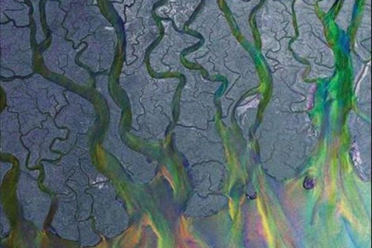 Alt-J en concert à l’Olympia en octobre 2013