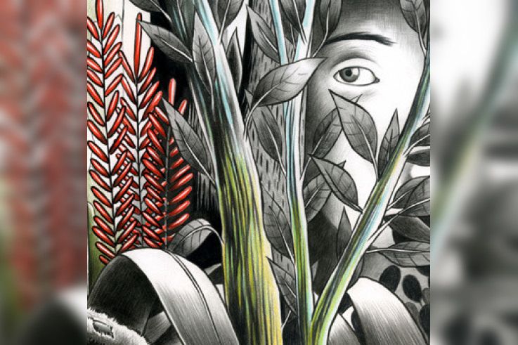 Dominique A en concert au Trianon : remportez vos places ! 