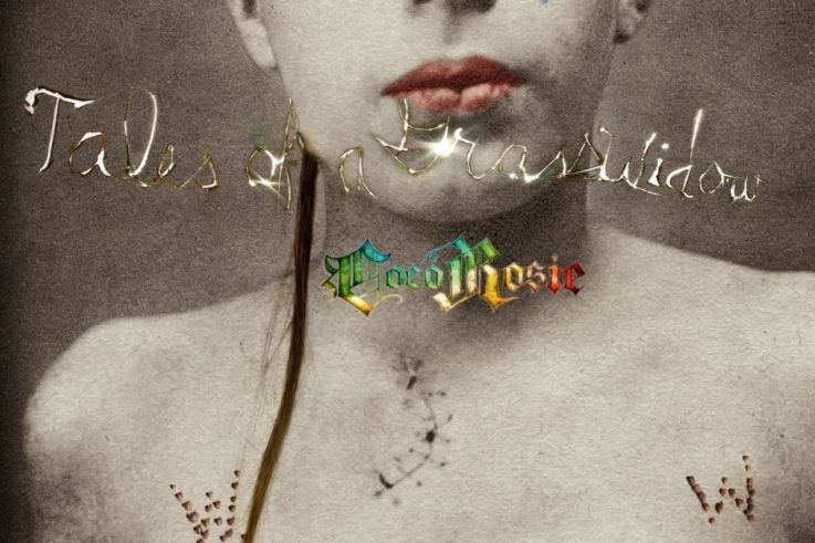 CocoRosie en concert à l’Olympia en septembre 2013