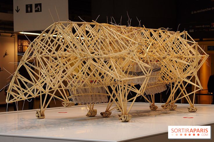 L'Art Robotique à la Cité des Sciences