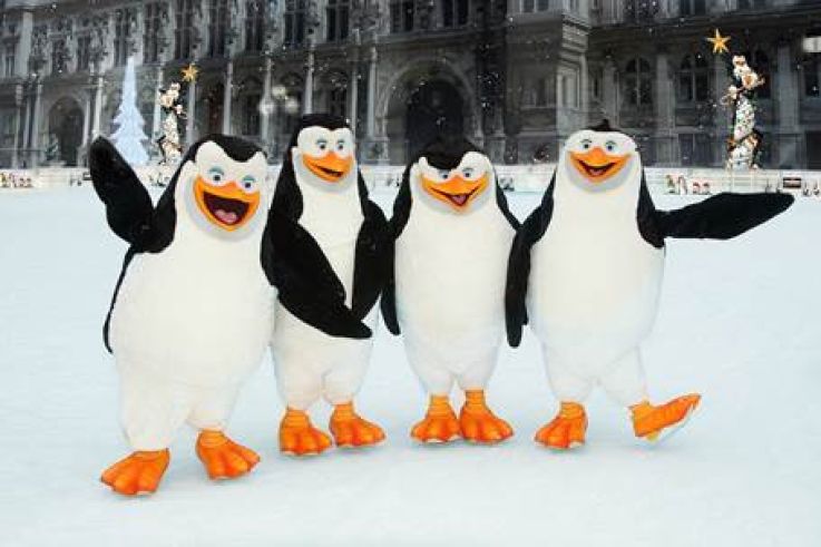 es Pingouins de Madagascar inaugurent la patinoire de l’Hôtel de Ville 