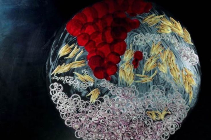 Mathilde de l'Ecotais s'expose dans les passages de Bercy Village