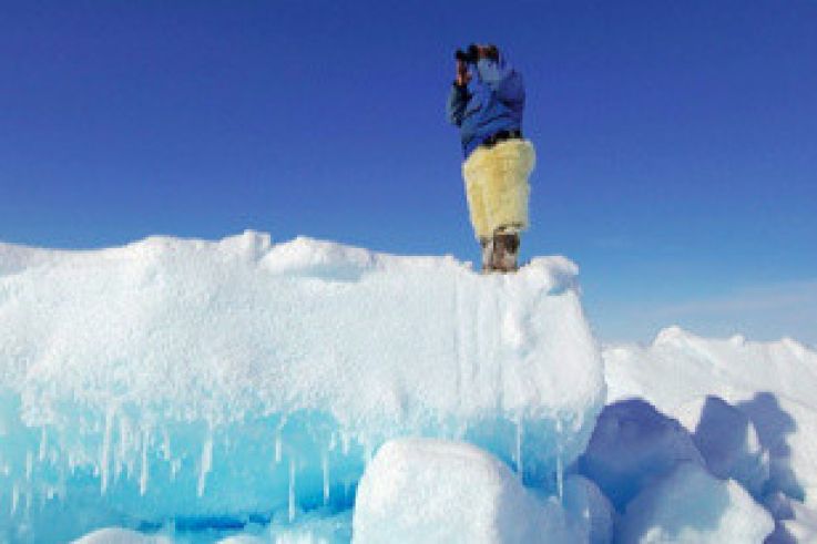 L'appel du froid, l'exposition de Michel Rawicki au jardin du Luxembourg
