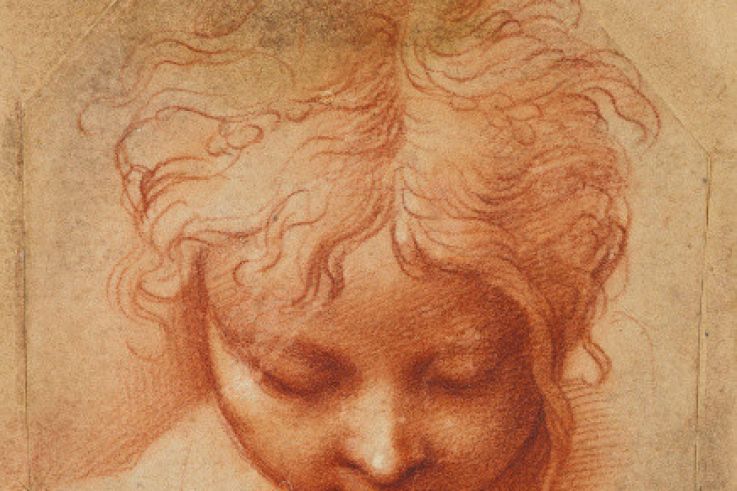Les dessins de Parmigianino exposés au musée du Louvre