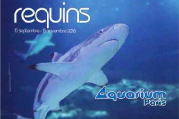 L'histoire des requins, l'expo de l'Aquarium de Paris