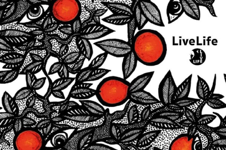 LiveLife : une exposition et un atelier caritatif à faire en famille