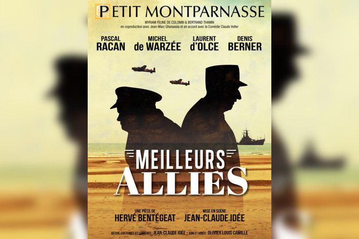 Meilleurs alliés, le spectacle au Petit Montparnasse