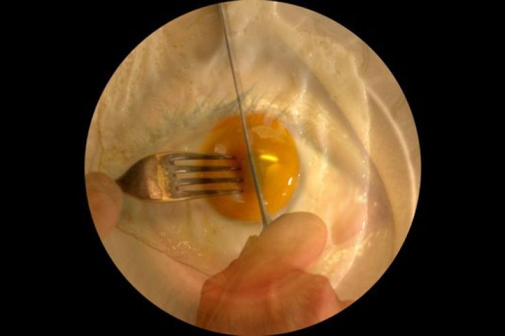 Roee Rosen, l'exposition au Centre Pompidou