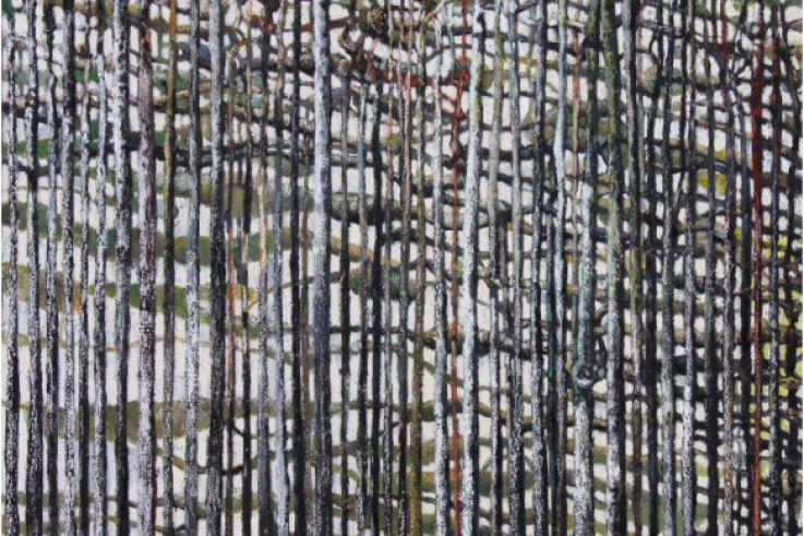 David Solis, l'expo gratuite à la Maison de l'Amérique latine