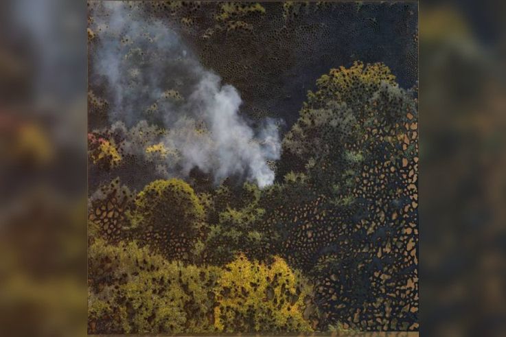 Miguel Rothschild, l'expo gratuite à la Maison de l'Amérique Latine