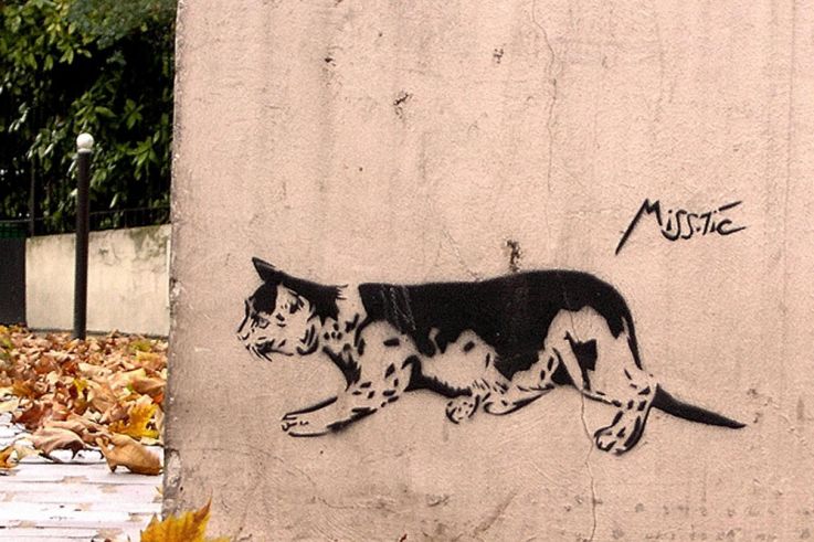 Chacun trouve son chat !