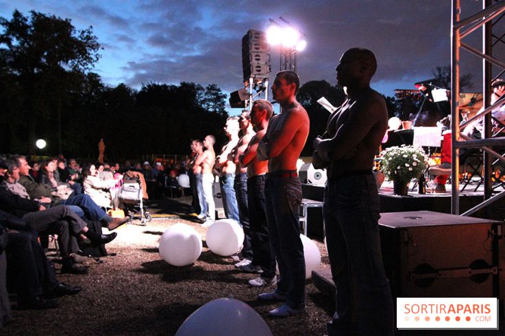 La Fête au Domaine de Saint Cloud, le spectacle de son et lumières