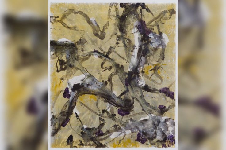 Mathieu Salomon expose à l'Œil du Huit !