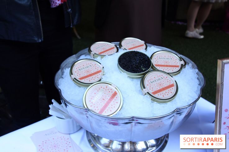 La Terrasse du Saint-James et son Bar à Rosés