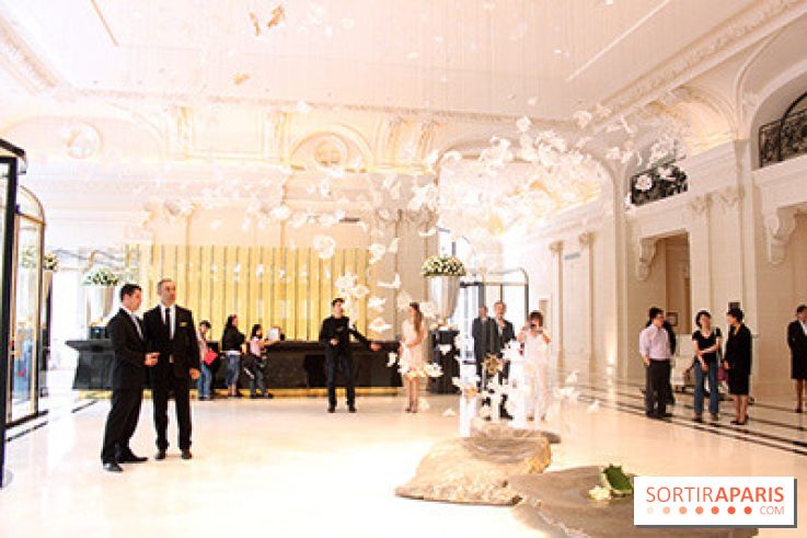 Peninsula : réception