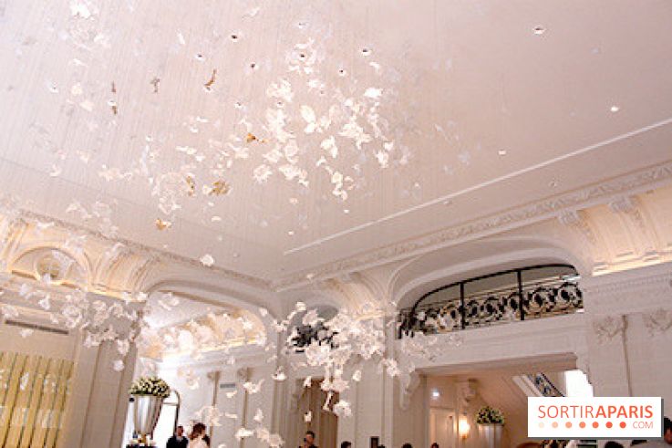 Peninsula : œuvre d'art