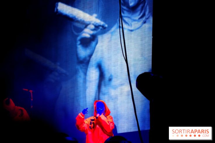 Rock En Seine 2014 - Die Antwoord