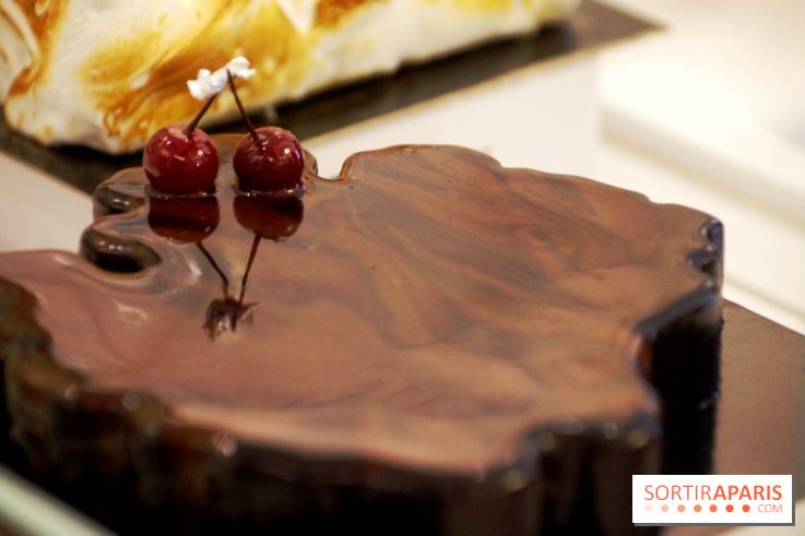 Bûche Gâteaux Thoumieux