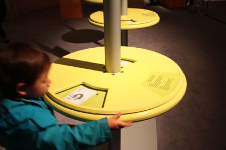 Le cheveu, de mèche avec la science au Palais de la Découverte