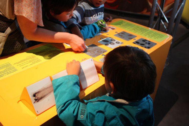 Le cheveu, de mèche avec la science au Palais de la Découverte