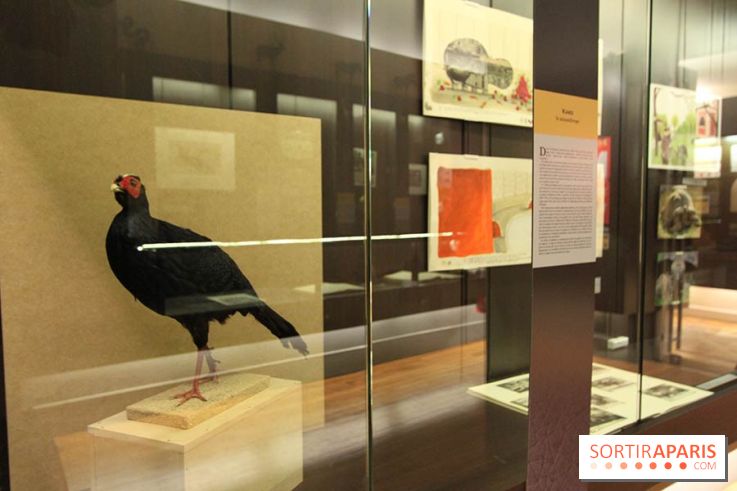 Les animaux célèbres de la Ménagerie, l'exposition