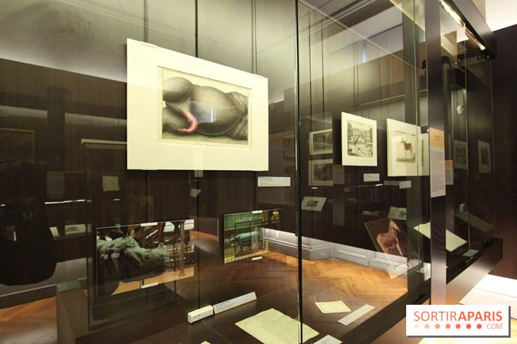 Les animaux célèbres de la Ménagerie, l'exposition