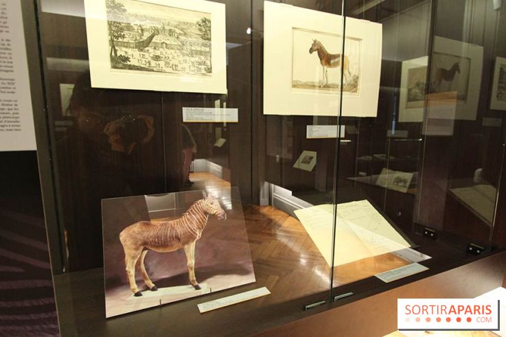 Les animaux célèbres de la Ménagerie, l'exposition