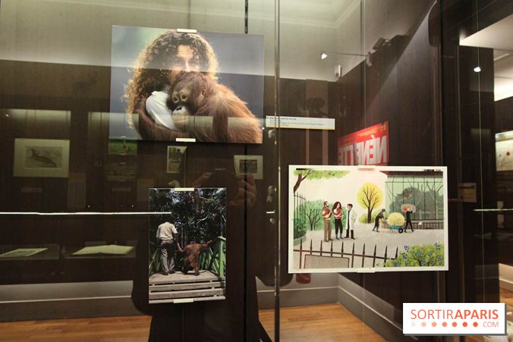 Les animaux célèbres de la Ménagerie, l'exposition