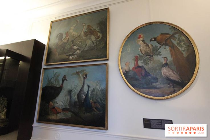 Les animaux célèbres de la Ménagerie, l'exposition