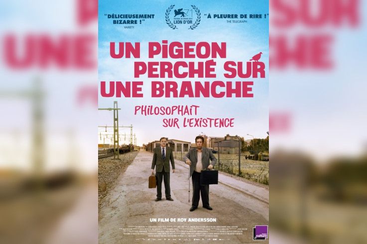 Un pigeon perché sur une branche philosophait sur l'existence