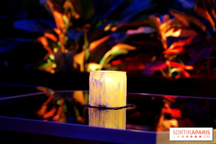 Le Très Particulier - la verrière