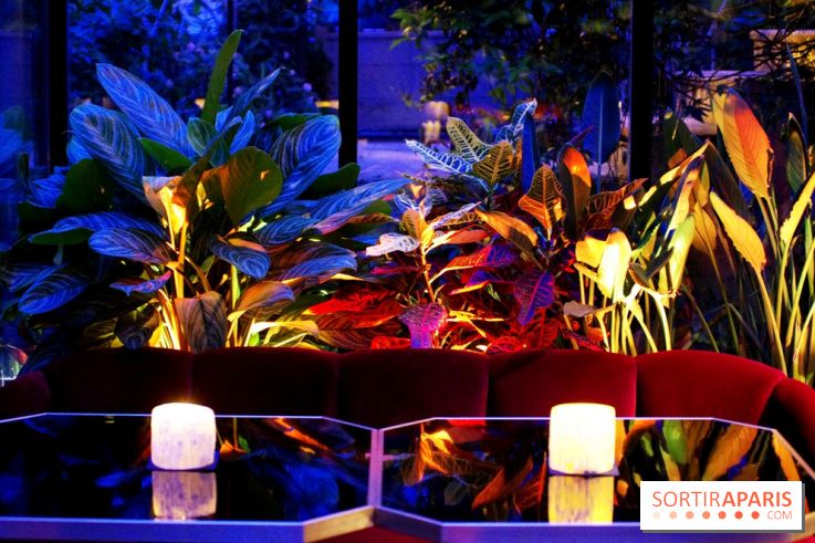 Le Très Particulier - la verrière