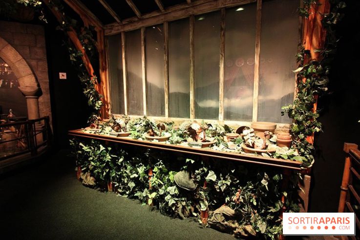 Exposition Harry Potter à Paris, Cité du Cinéma