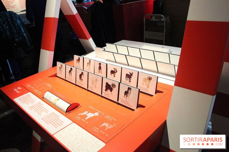 Exposition Chiens et Chats à la Cité des Sciences