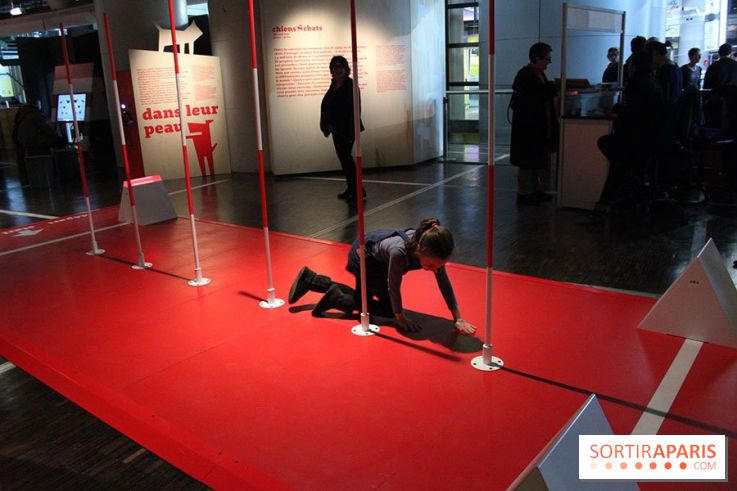 Exposition Chiens et Chats à la Cité des Sciences