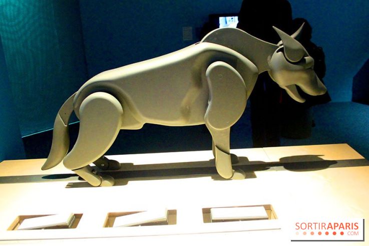 Exposition Chiens et Chats à la Cité des Sciences